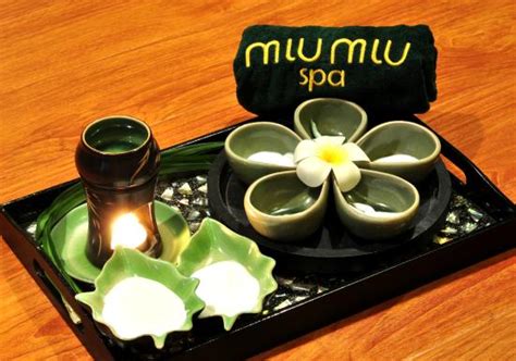 miu miu wellness ervaringen|Miu Miu Spa 1 .